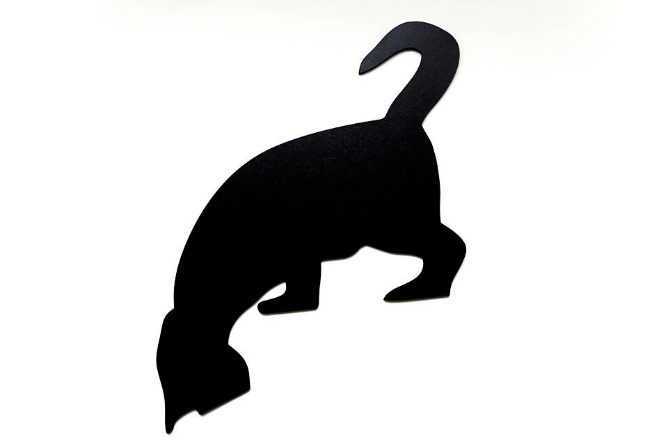 Cat Lovers Gift Door Frame Decor Black Cat Sticker Crazy Cat | Etsy