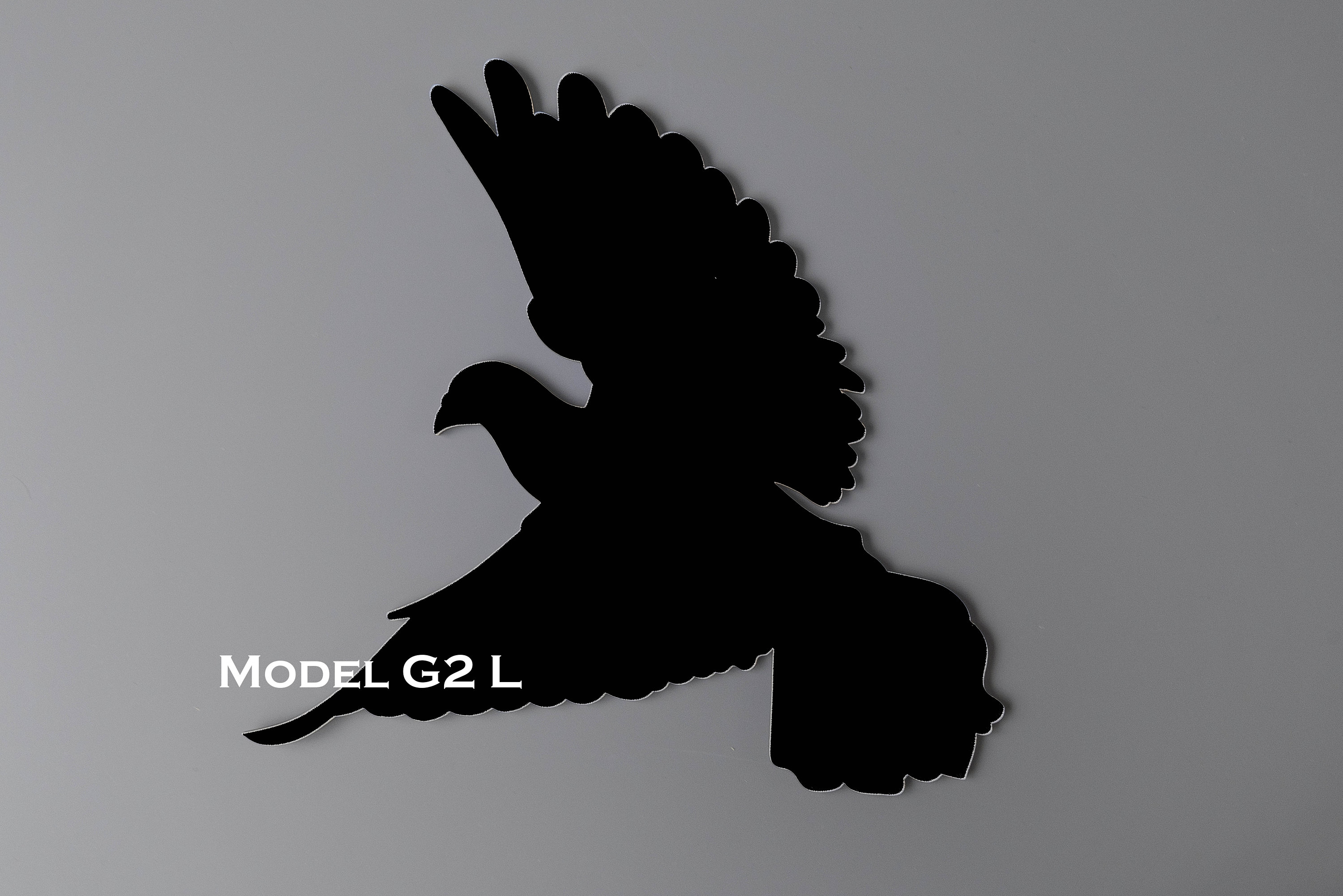 Decoración de pared de madera de pájaros colgantes de pared | Etsy