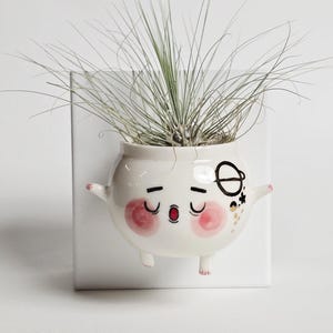 May include: A white ceramic wall-mounted planter shaped like a round character with small arms and legs. The face features pink cheeks, closed eyes, and an open mouth. A black planet icon is painted on the side. A spiky green air plant sits inside.