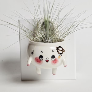 May include: A white ceramic wall planter shaped like a small character with a surprised expression, pink cheeks, and a brown planet icon. The planter holds a spiky air plant and is mounted on a square white backing plate with a circular hook.
