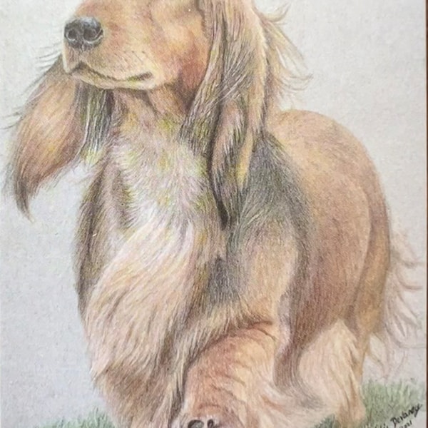 ACEO Dachshund ATC Artist Trading Card Print