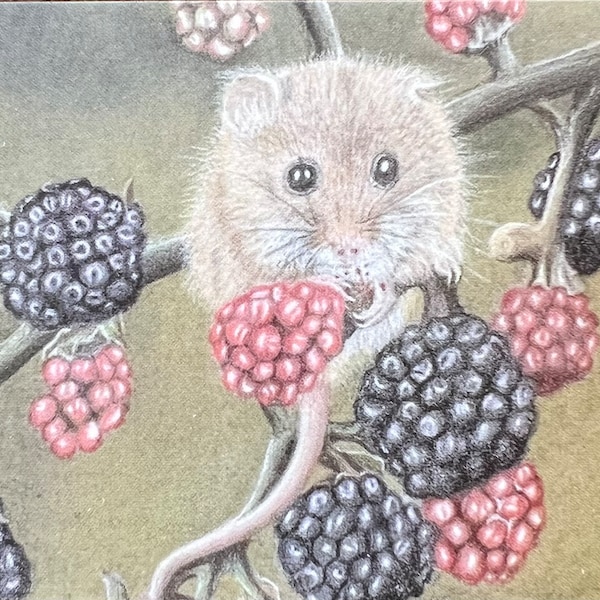 ACEO Harvest Mouse ATC Artist Trading Card Print