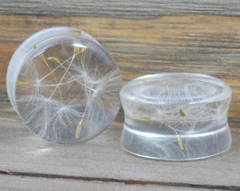 Dandelion Ear Plugs, Real Dandelion Plugs, Wish Plugs, Dandelion Gauges, Dandelion Jewelry, Dandelion Wisp Ear Plugs, Wish Gauges, Dandelion