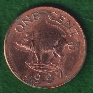 Wholesale Wild Boar Pig Bermuda Cent Coin of 1997 (Weighs 2.5 grams, Dia 20 MM, Copper + Zinc) Great for Jewelers, Hobbyists, Coin Cutters+