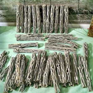 May include: A large pile of light brown, dried cholla cactus branches. The branches are arranged in a random pattern on a green surface.