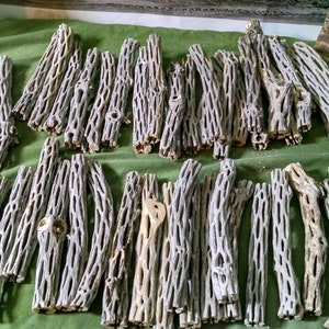 May include: A collection of light gray, naturally textured, wooden branches. The branches are arranged in rows on a green surface.