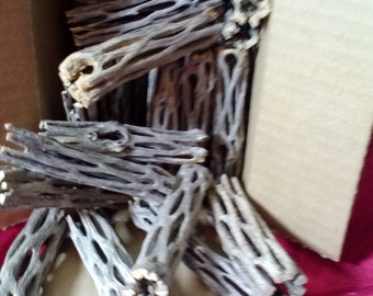 50 pc. Box Full of 3" ORGANIC UNTREATED Cholla Cactus Wood Aquarium Craft