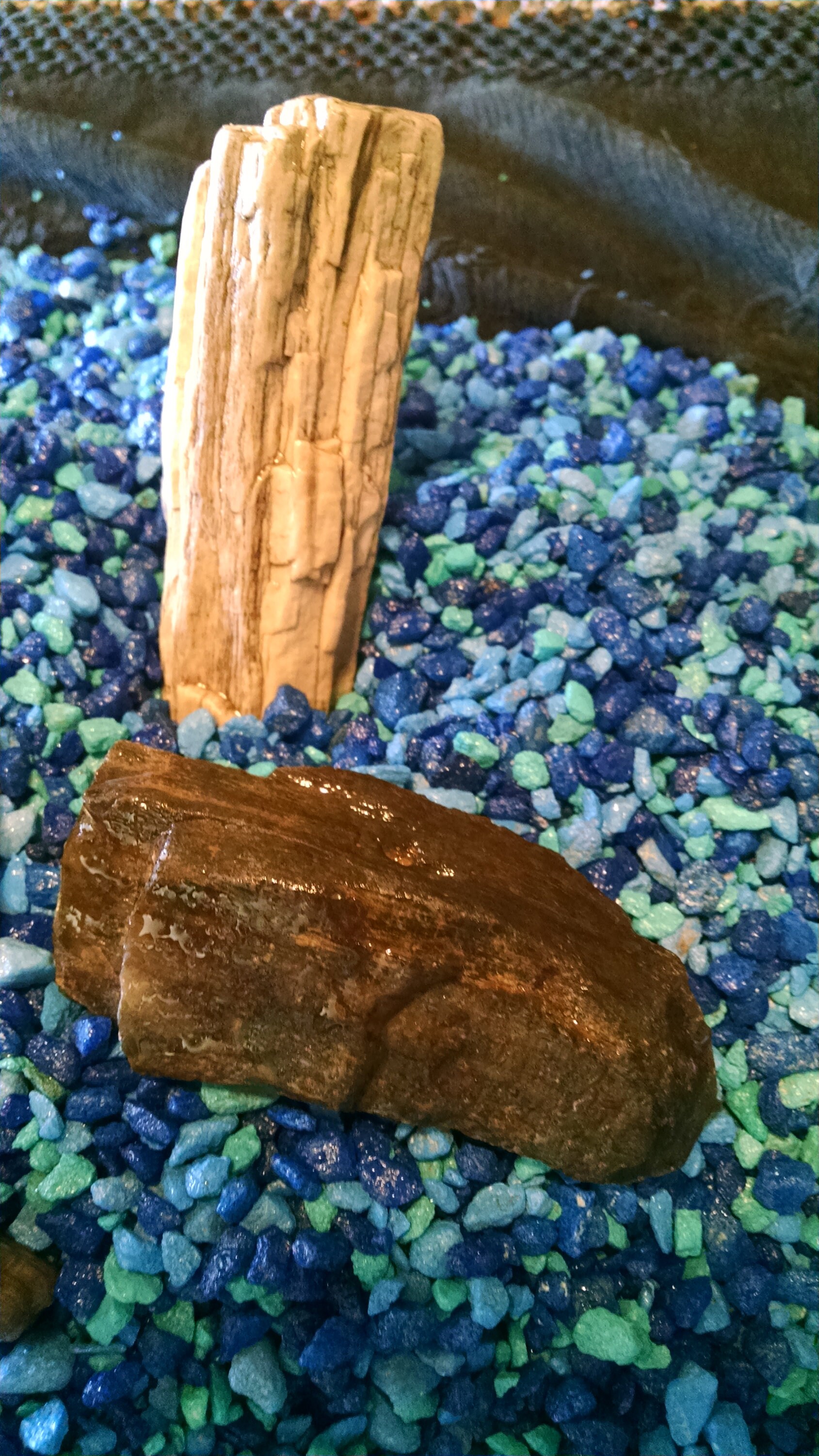 Petrified Wood Aquarium Decor Natural Rock Agate Quartz aqr4 Etsy