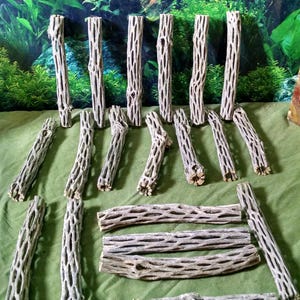 May include: A collection of 18 natural, light brown,  cholla wood branches, perfect for reptile or amphibian enclosures. The branches are various sizes and shapes, with a unique, intricate, lattice-like pattern.
