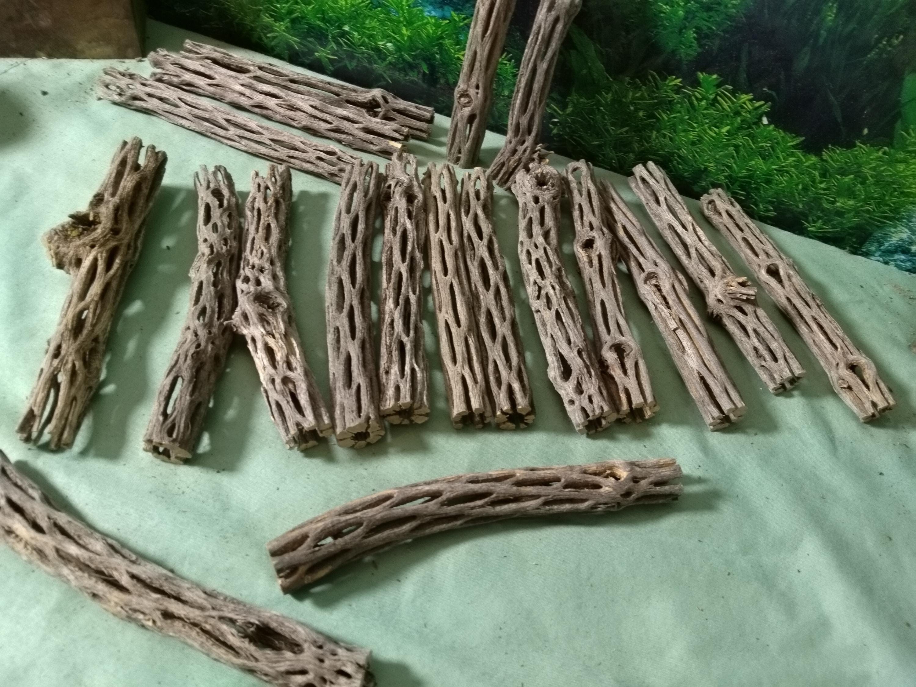 20 Pieces 6-Inch Cholla Wood Logs - Natural, Untreated For Aquariums, Shrimp & Crafts