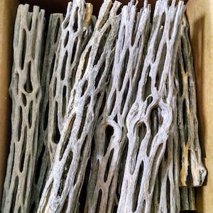 May include: A box filled with a collection of light brown, intricately patterned, wooden sticks. The sticks are arranged in a random pattern, with some sticking out of the box.