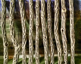 10 - 12" 1/2 to 3/4 Organic Cholla Cactus Wood Perch Aquarium Craft Decoration
