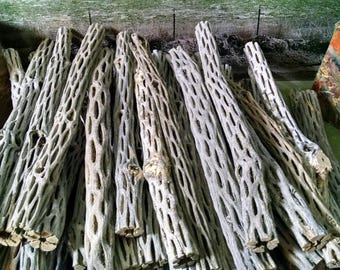 Large Cholla Cactus Wood / NM Desert Cholla Wood Naturally Aged / 2 Pieces Cholla  Cactus Wood / Cholla Root Formations / Natural Roots - Etsy