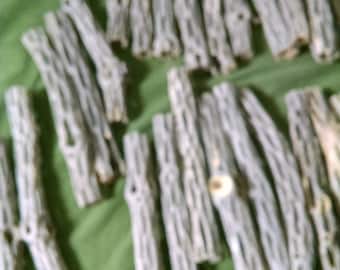 200 Cholla Dried Cactus Wood Pieces 6" X 3/4 inch minus Diameter