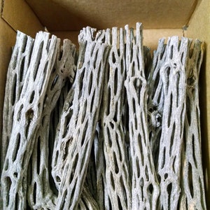 May include: A box filled with a variety of light gray, naturally textured, wooden branches. The branches are long and slender, with a hollow, porous structure.