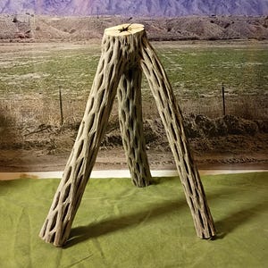 May include: A natural cholla cactus skeleton, featuring a tripod design. The light brown, textured wood has numerous holes and a cut top. The piece is set against a green surface with a backdrop of a field and mountains.