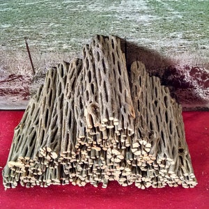 50 pc. Box Full of 5&quot; minus ORGANIC UNTREATED Cholla Cactus Wood Aquarium Craft