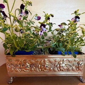 May include: A rectangular metallic planter with a polished copper finish featuring an embossed floral pattern along the sides. The planter stands on four small claw-shaped feet and contains two blue plastic pots filled with purple and white pansies.