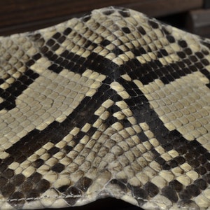 May include: Close-up of a snakeskin pattern with black and white scales. The scales are arranged in a diamond pattern.