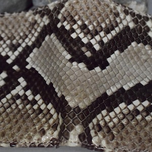 K&ouml;nnte beinhalten: Nahaufnahme eines braunen und wei&szlig;en Schlangenhautmusters. Das Muster besteht aus kleinen, quadratischen Schuppen.