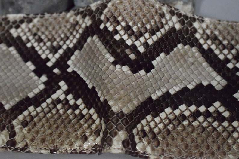 K&ouml;nnte beinhalten: Nahaufnahme eines braunen und wei&szlig;en Schlangenhautmusters. Das Muster besteht aus kleinen, quadratischen Schuppen.