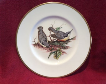 Coalport British Birds Nuthatch Bone China Plate 10 3/4" diameter