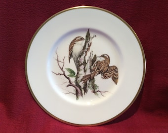 Coalport British Birds Tree Creeper Bone China Plate 10 3/4" diameter