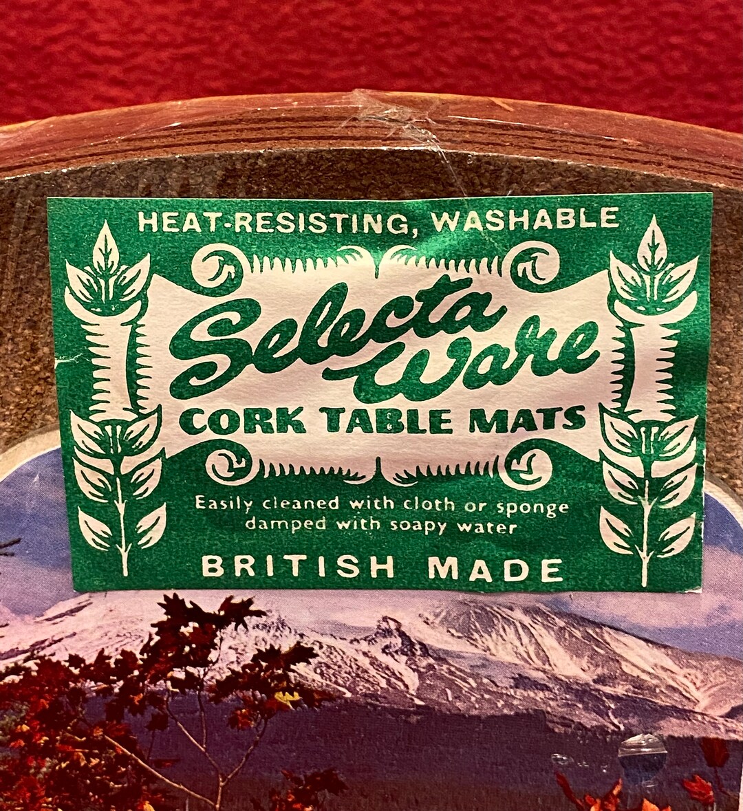 Selecta Ware Cork Table Mats With Holder. Mountain and Lake Image