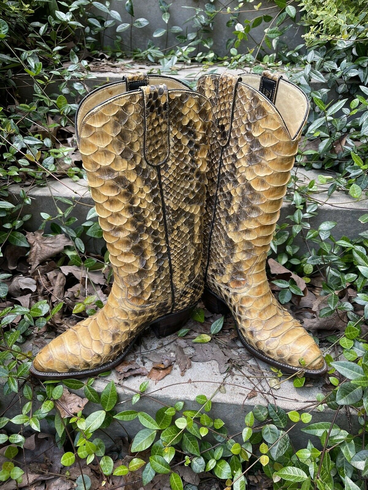 Vintage Tony Alamo Giant Boa Constrictor Snakeskin Cowboy Etsy