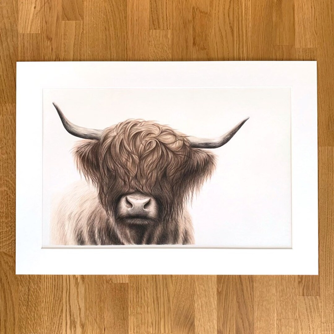 Highland Cow Drawing Limited Edition Fine Art Print Giclée