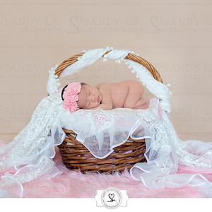 Newborn Basket with Pink Fur Digital Backdrop
