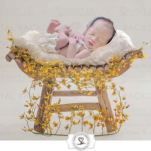 Newborn Digital Backdrop - Curved Natural Wood Bench with yellow flowers Background Composite