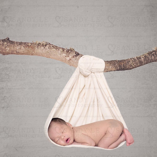 Newborn Digital Backdrop - Curved Hanging Tree Branch Background Composite