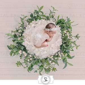 Newborn Digital Backdrop - White Hydrangeas Foliage Flower Wreath on White Wood Top View Flooring Background Composite