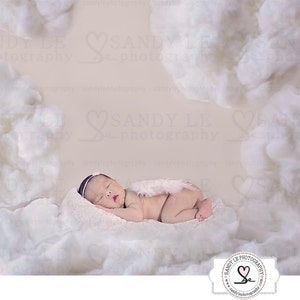 Newborn Digital Backdrop - White and Gray Clouds Background Composite