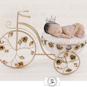 Newborn Digital Backdrop - Gold Rose Princess Carriage Bicycle Background Composite