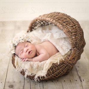 Newborn Digital Backdrop - Baby Cradle Weave Basket Background Composite