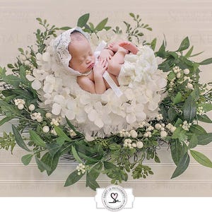 Newborn Digital Backdrop - White Hydrangeas Foliage Flower Wreath on White Wood Flooring Background Composite