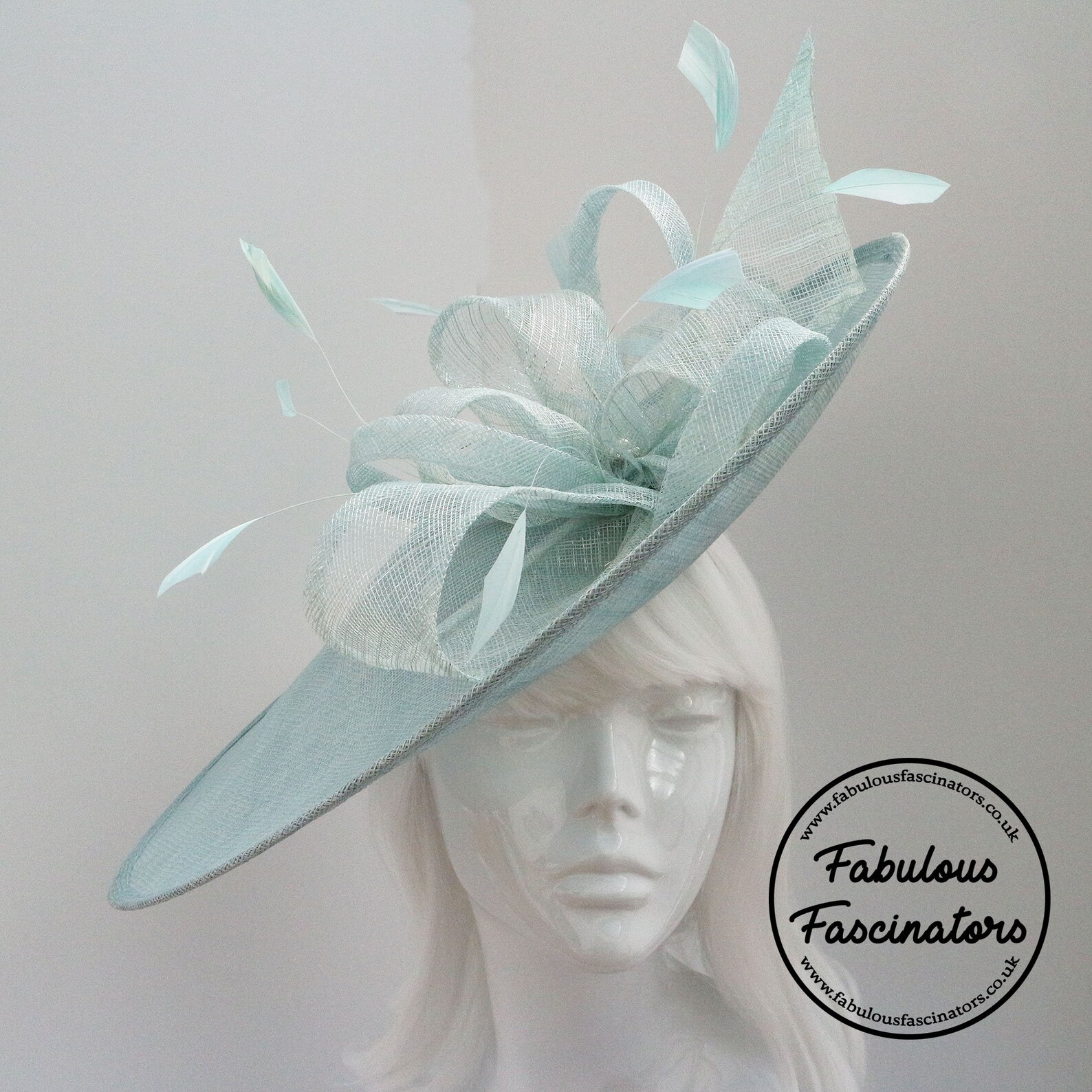 Duck Egg Hatinator Duck Egg Blue and Silver Hatinator with Etsy