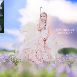 LIMITED EDITION Carousel Dreams