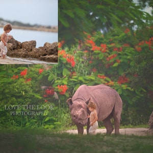 LIMITED EDITION Real Rhino digital backdrop
