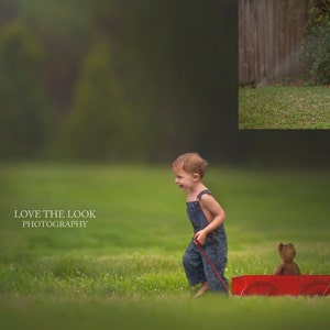 LIMITED EDITION My Little Red Wagon Digital Backdrop