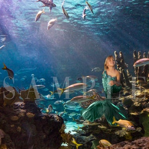 Under the Sea Digital Backrop