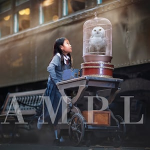 Platform 9 3/4 Digital Backdrop