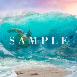 Moana Digital Backdrop