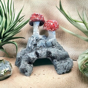 Small Reptile Rock Cave, Bask n Hide for Snake tank, Bearded Dragon, Leopard Gecko, Reptile Enclosure, Terrarium Decor Mushroom Accessories