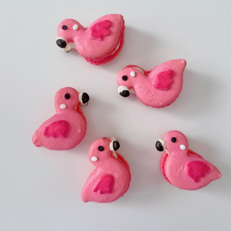 25 Pack Macaroons - Etsy