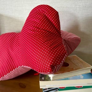 Könnte beinhalten: Ein sternförmiges Plüschkissen aus rotem Stoff mit weißen Punkten auf der Vorderseite und einem rot-weiß gestreiften Muster an der Seite. Das Kissen lehnt an einem Stapel aus drei Büchern mit sichtbaren Einbänden und Seiten.