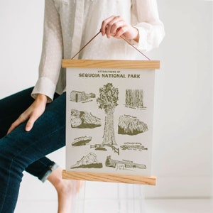 Sequoia National Park Art Print