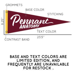 May include: Maroon pennant with white text reading "Pennant Anatomy." The pennant is 23.5 inches long and 8.25 inches tall, with a gold contrast band and grommets. The text and base colors are limited edition.